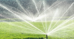 sprinklers