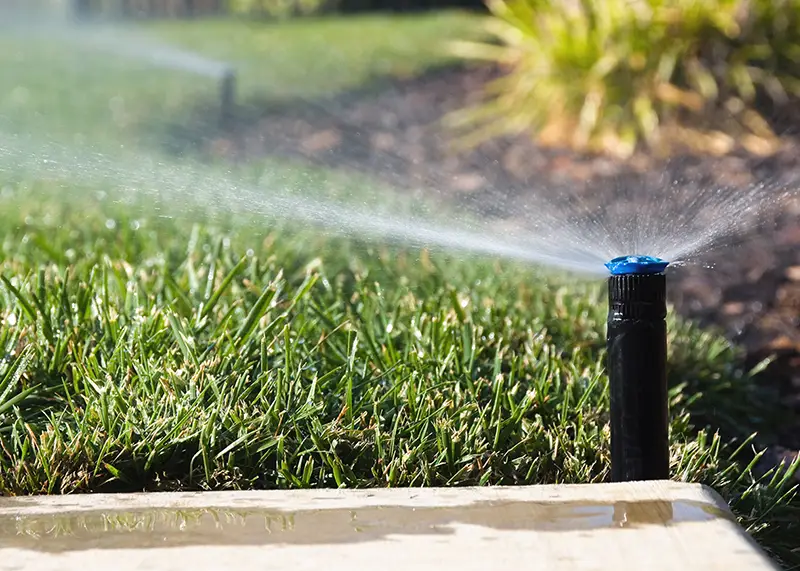 sprinkler